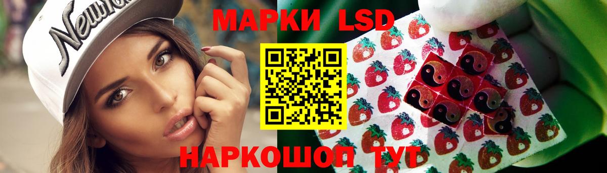 Лсд 25 экстази ecstasy  Лсд 25 экстази кислота  ЛСД экстази  Вход с VPN  Бердск 