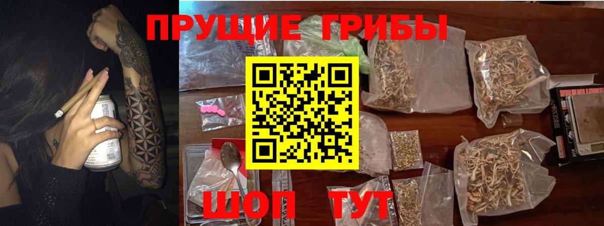 Галлюциногенные грибы Cubensis  Вход с VPN  Псилоцибиновые грибы Psilocybine cubensis  даркнет сайт  Бердск 